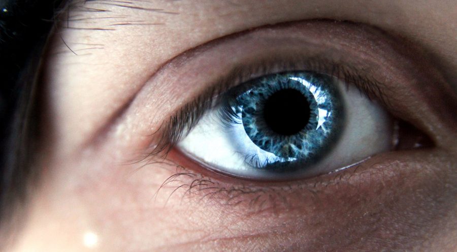 Free picture: blue eye, face