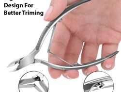 Best App For Video Messaging That Connects Us All