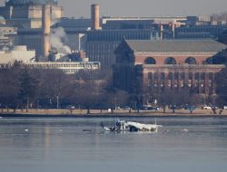 Video Of American Airlines Crash Today Summary And Details