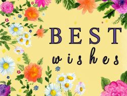 Best Video Conferencing Service For Seamless Communication