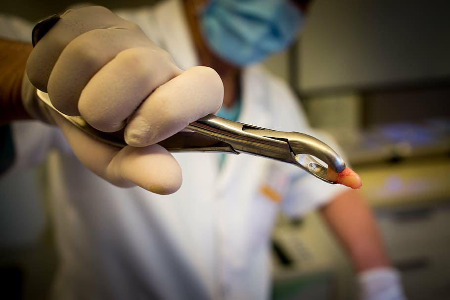 Dental Insurance Agency Offers Essential Coverage Options